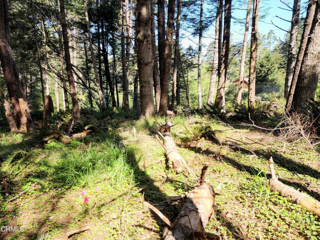 44551 Raven Lane Property Photo 10