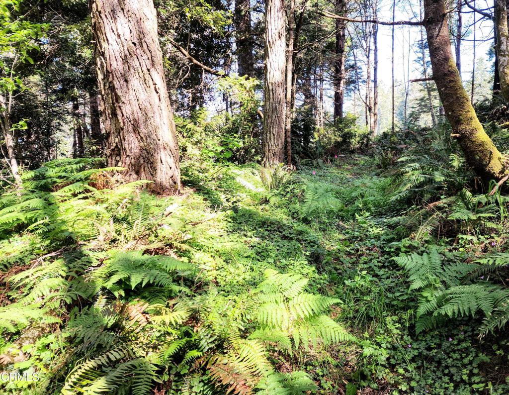 44551 Raven Lane Property Photo 12
