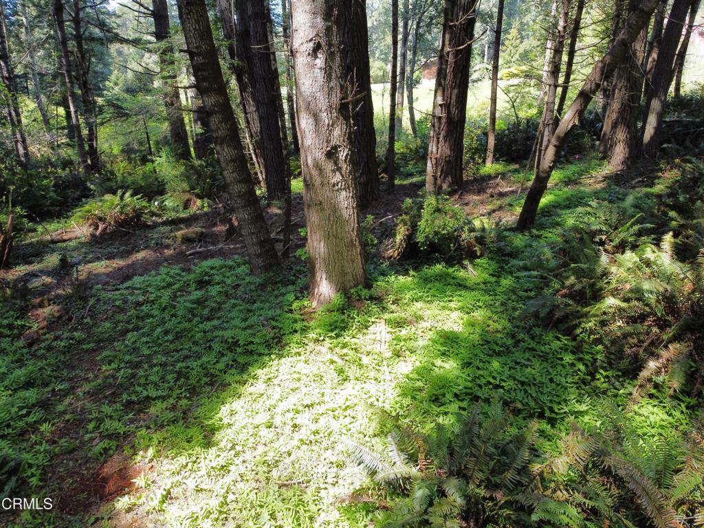 44551 Raven Lane Property Photo 14
