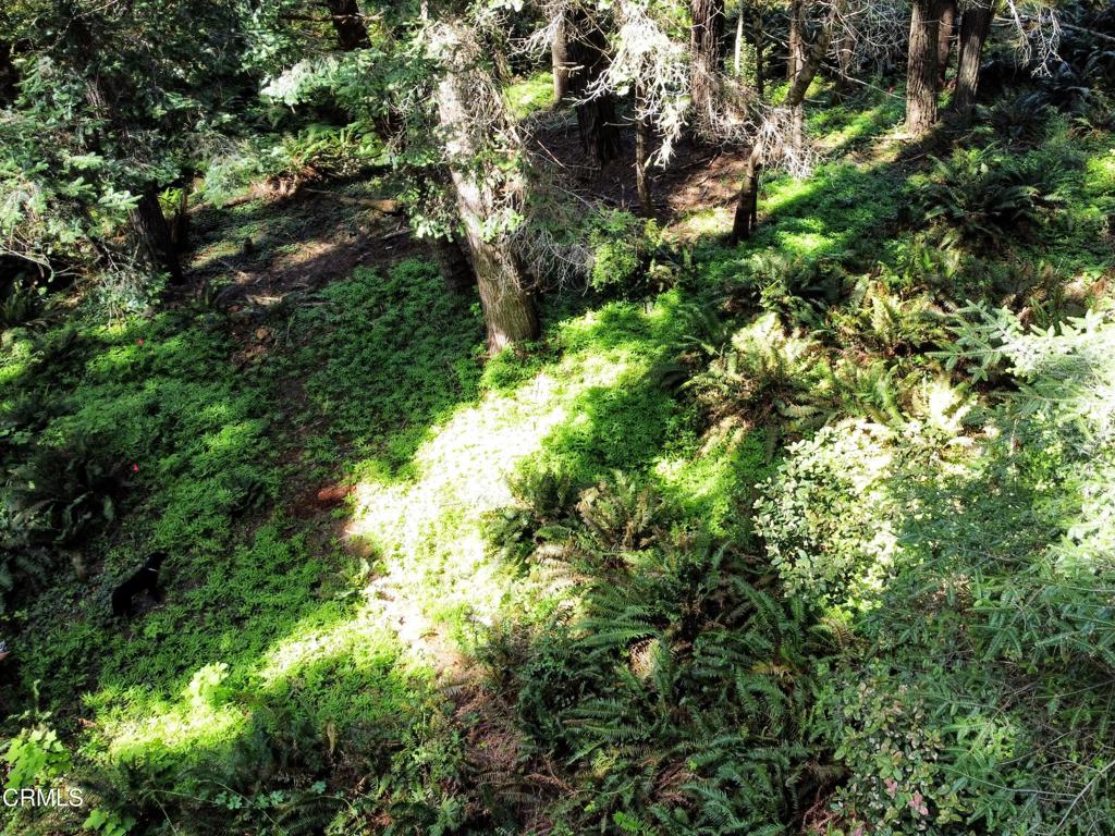44551 Raven Lane Property Photo 16