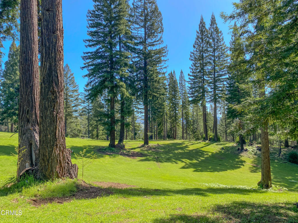 13740 Peregrine Road