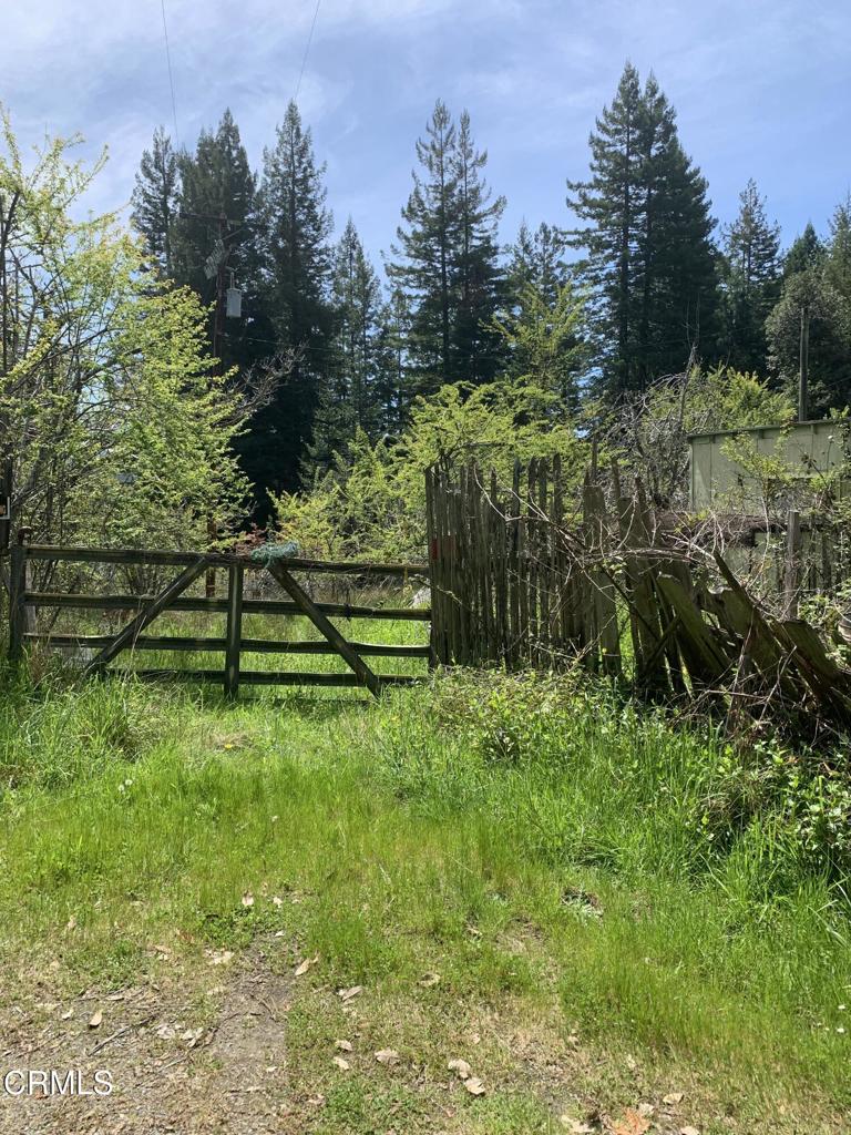 23501 Branscomb Road Property Photo 1