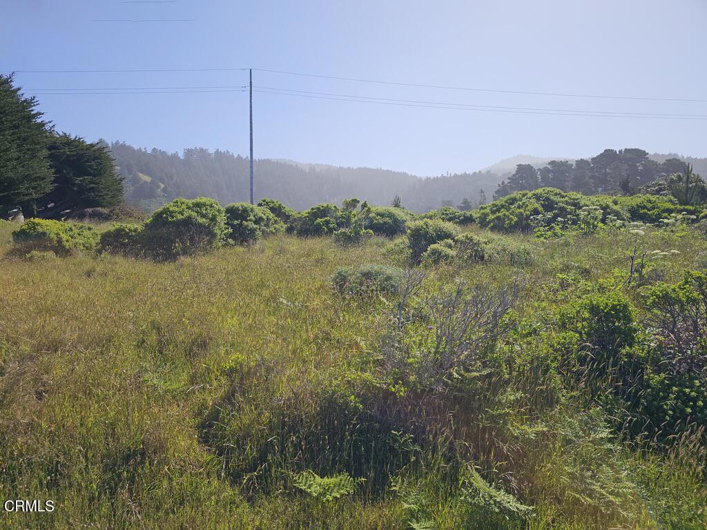 15151 Mallo Pass Drive Property Photo 1