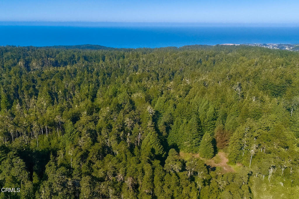 43535 Comptche Ukiah Road Property Photo 3