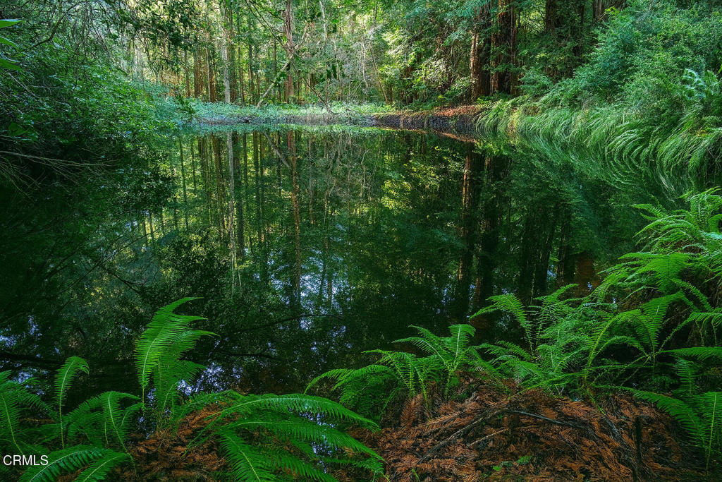 43535 Comptche Ukiah Road Property Photo 4