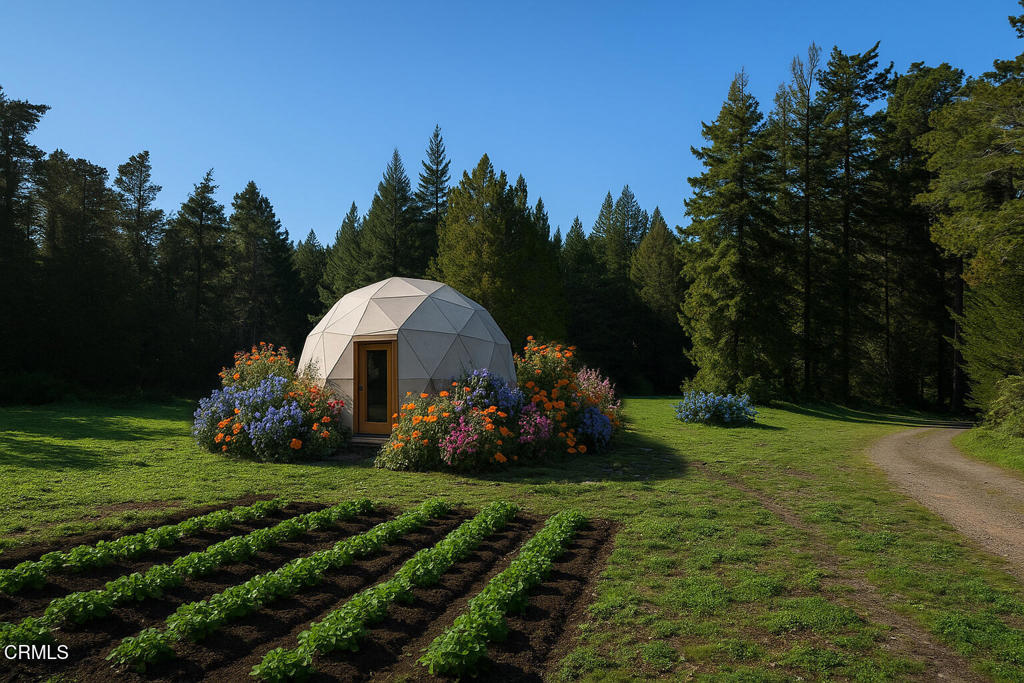 43535 Comptche Ukiah Road Property Photo 5