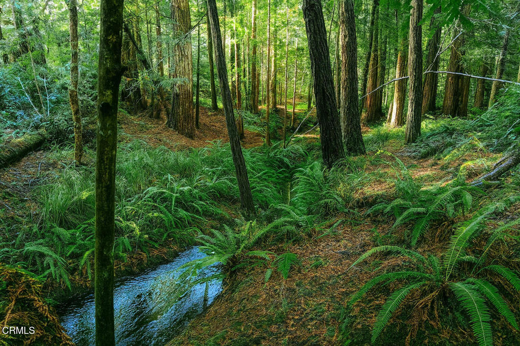 43535 Comptche Ukiah Road Property Photo 7