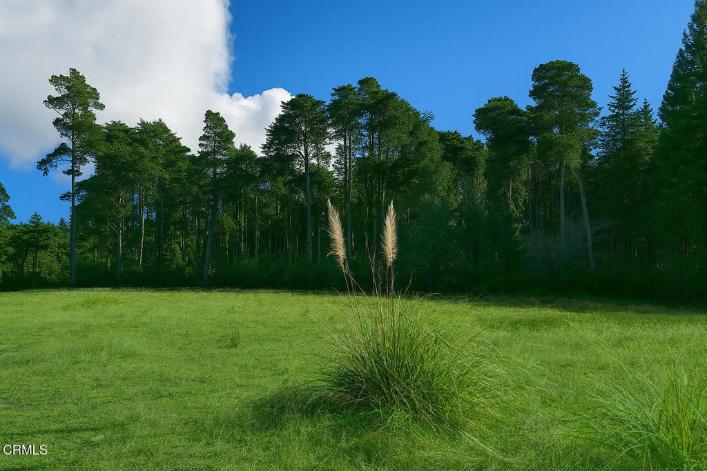 43535 Comptche Ukiah Road Property Photo 8