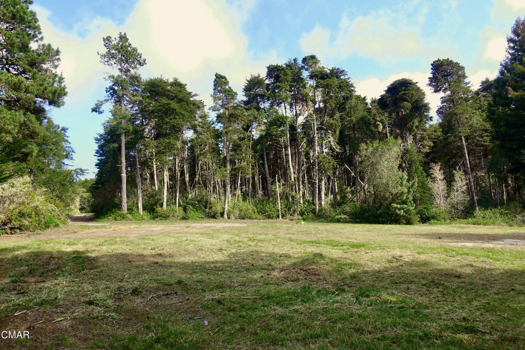 43535 Comptche Ukiah Road Property Photo 10