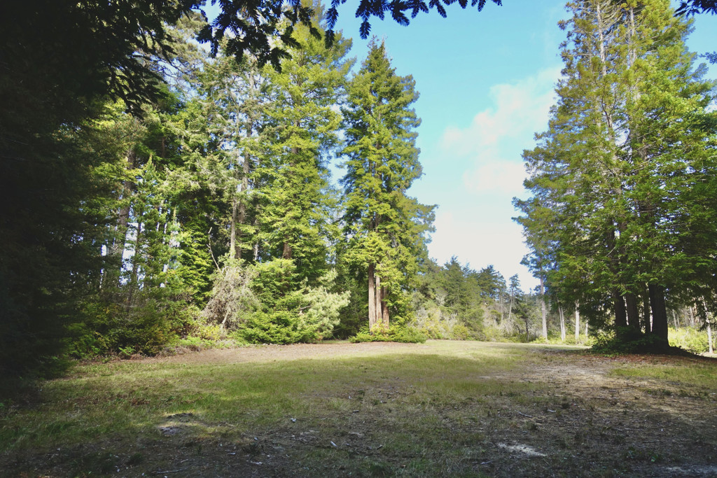 43535 Comptche Ukiah Road Property Photo 11