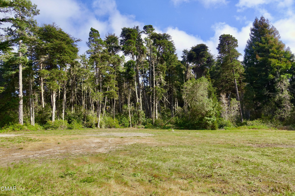 43535 Comptche Ukiah Road Property Photo 12