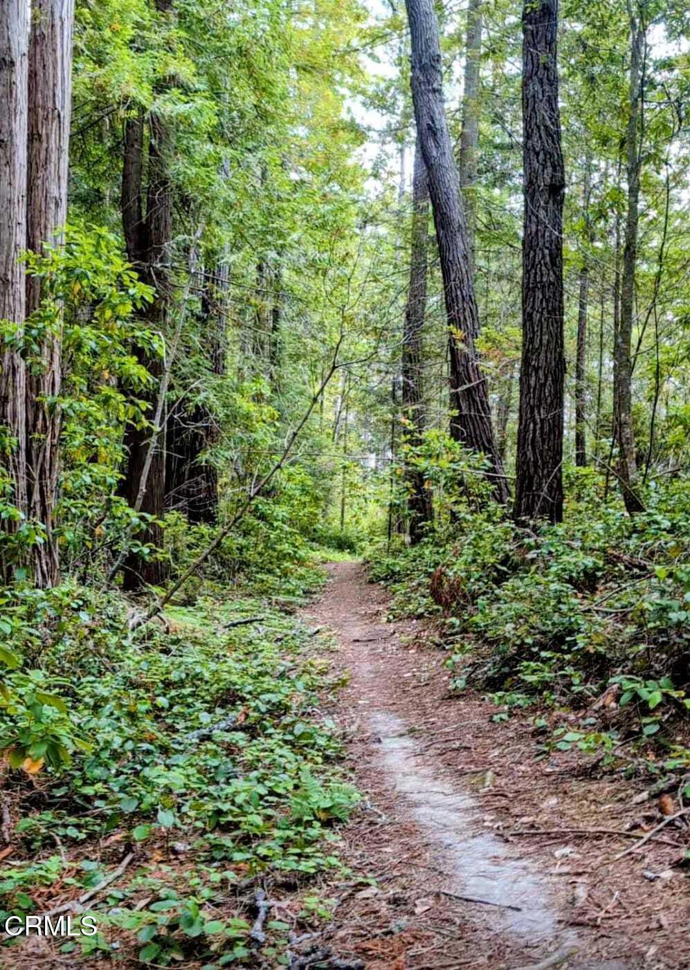 43535 Comptche Ukiah Road Property Photo 13