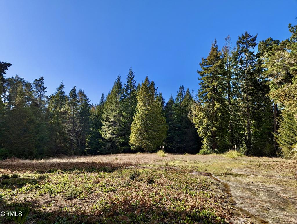 43535 Comptche Ukiah Road Property Photo 17