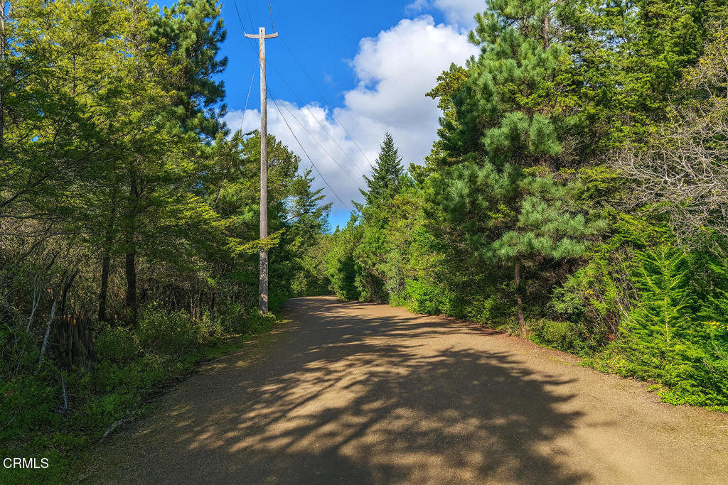 43535 Comptche Ukiah Road Property Photo 18