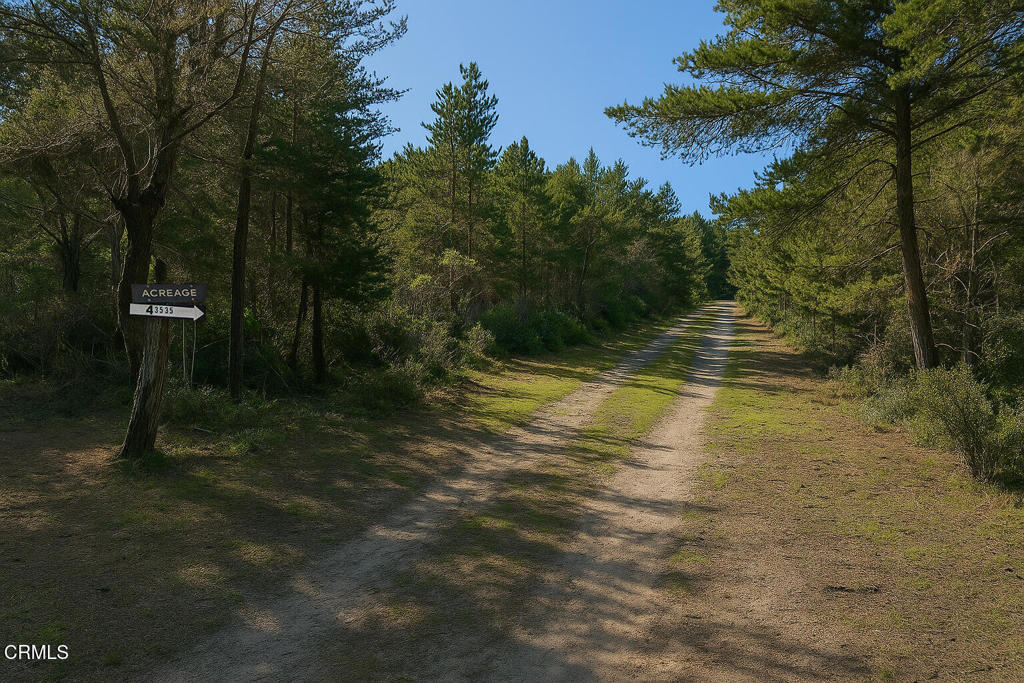 43535 Comptche Ukiah Road Property Photo 19