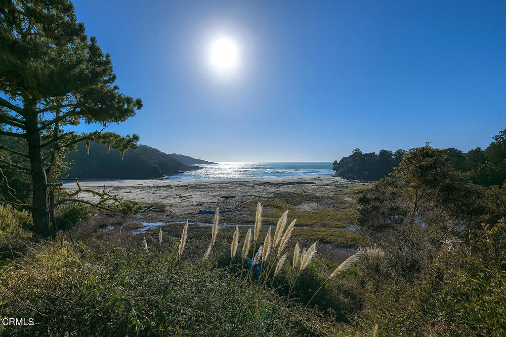 43535 Comptche Ukiah Road Property Photo 20