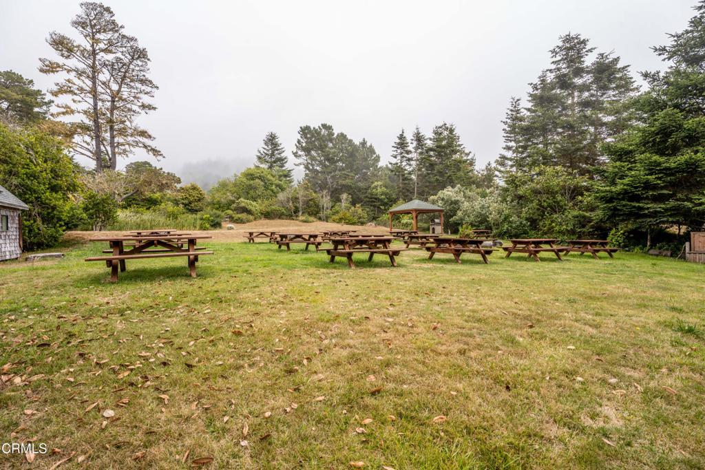 15741 Forest View Road Property Photo 23