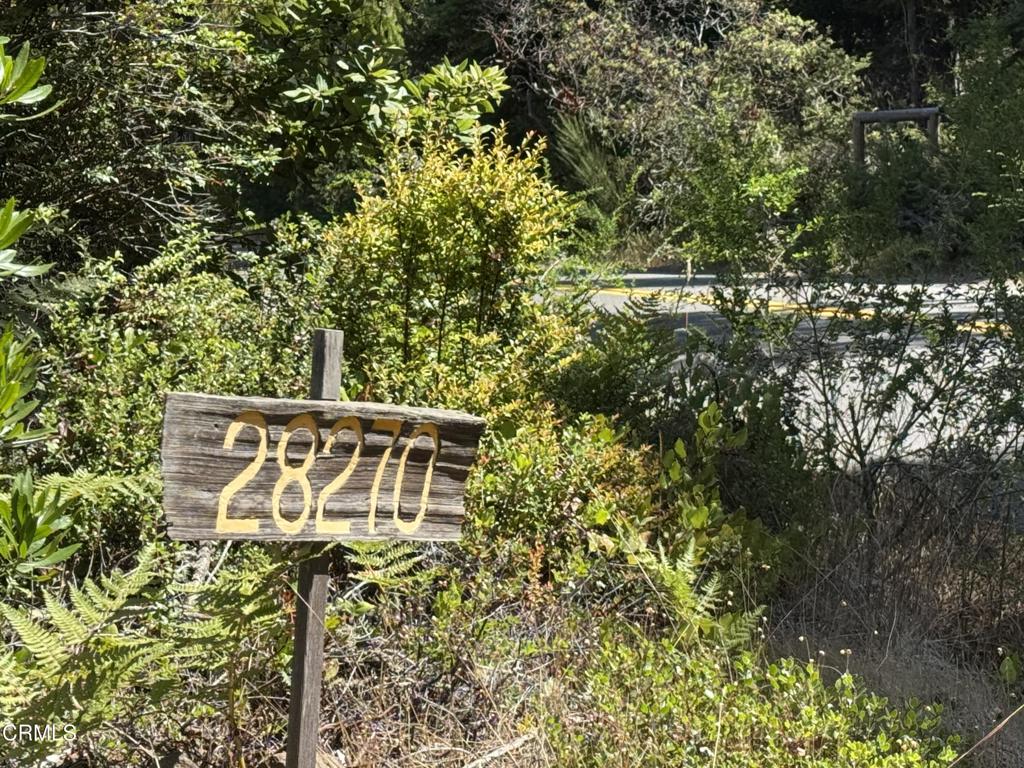 28270 Albion Ridge Road Property Photo 18