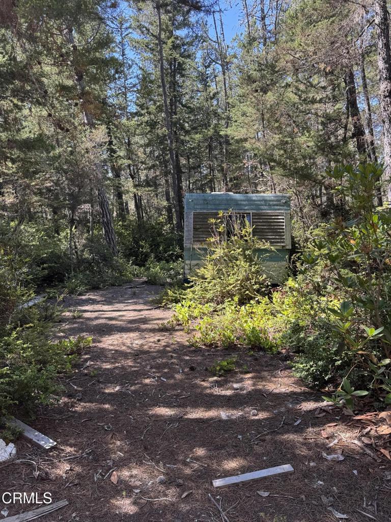 28270 Albion Ridge Road Property Photo 23