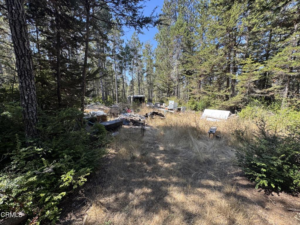 28270 Albion Ridge Road Property Photo 24
