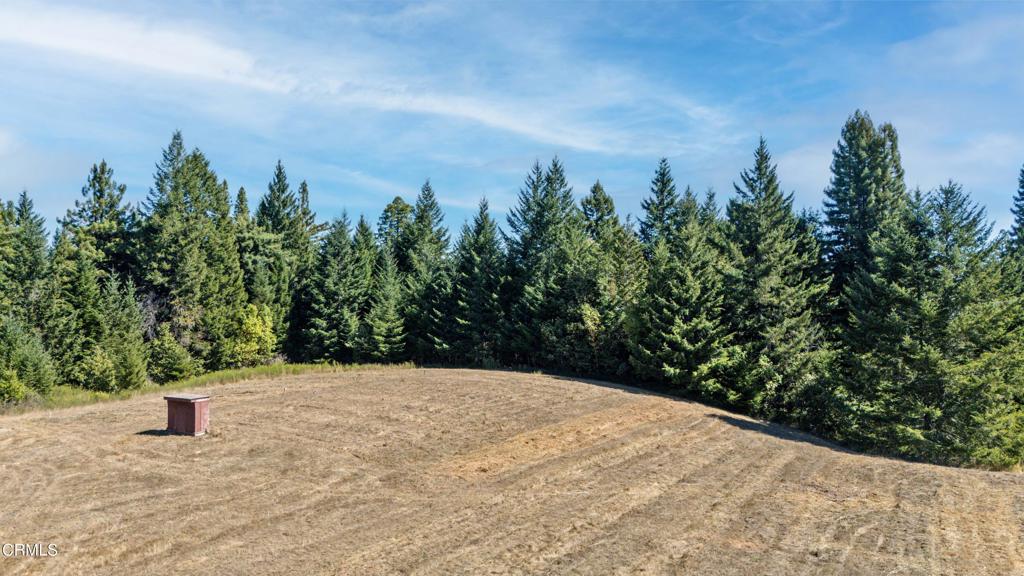 28580 Comptche Ukiah Road Property Photo 9