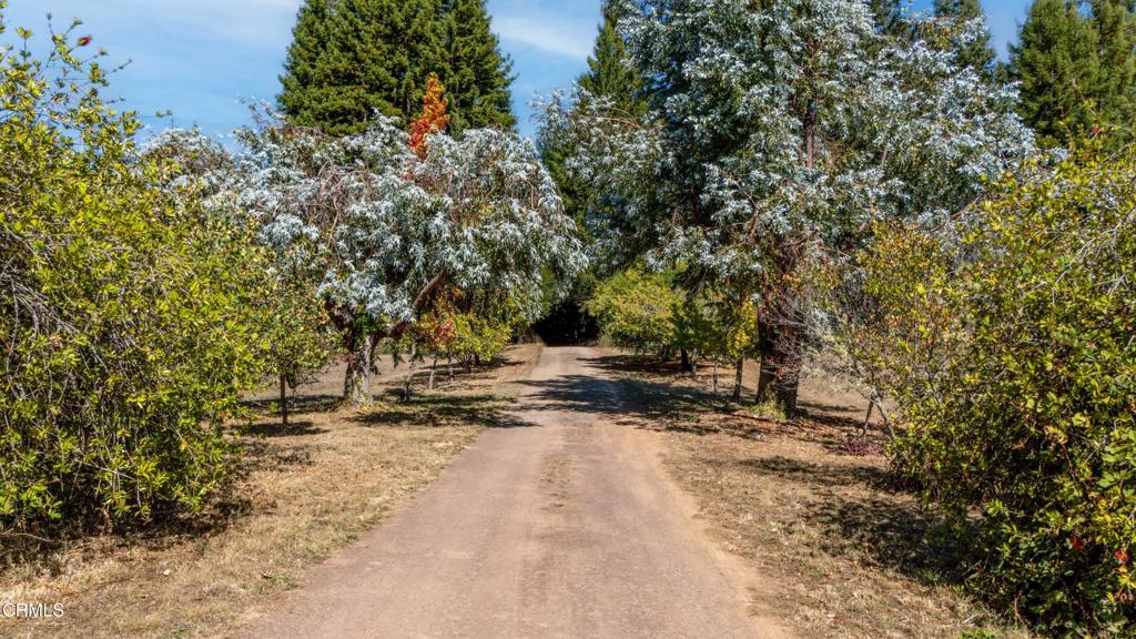28580 Comptche Ukiah Road Property Photo 11