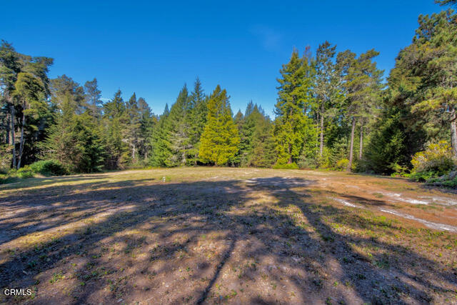 43535 Comptche Ukiah Road Property Photo 7