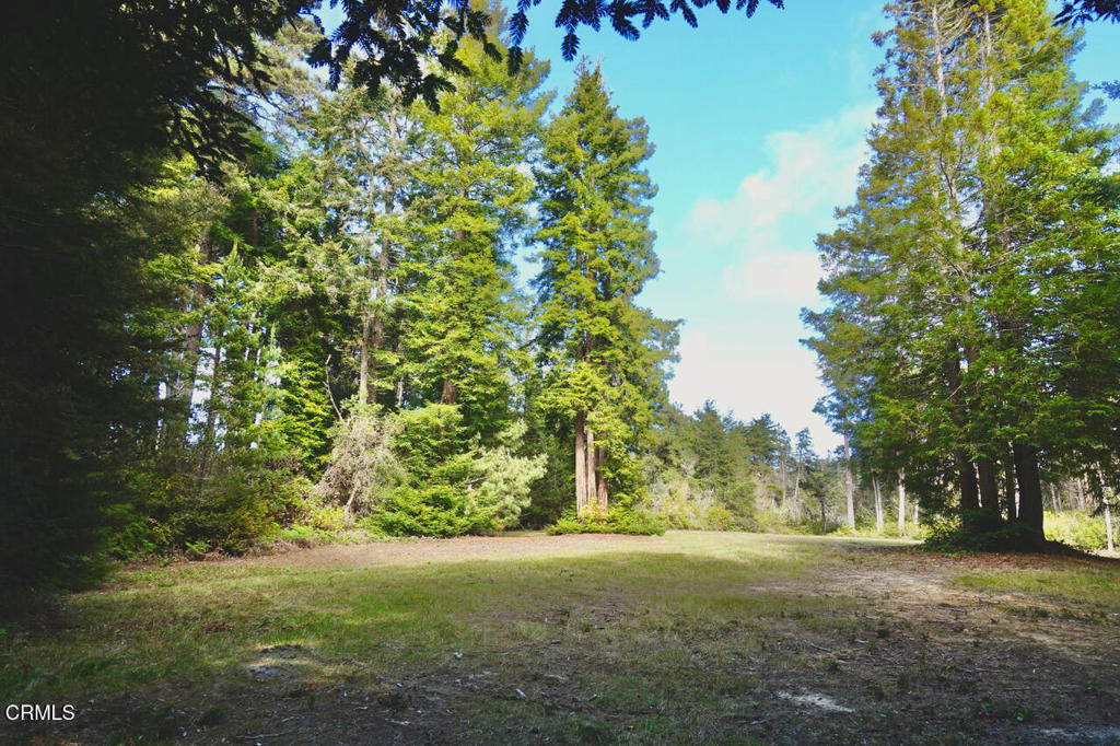 43535 Comptche Ukiah Road Property Photo 8