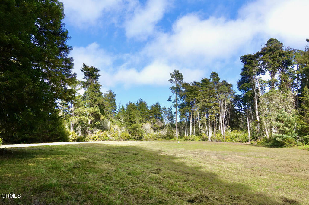 43535 Comptche Ukiah Road Property Photo 10