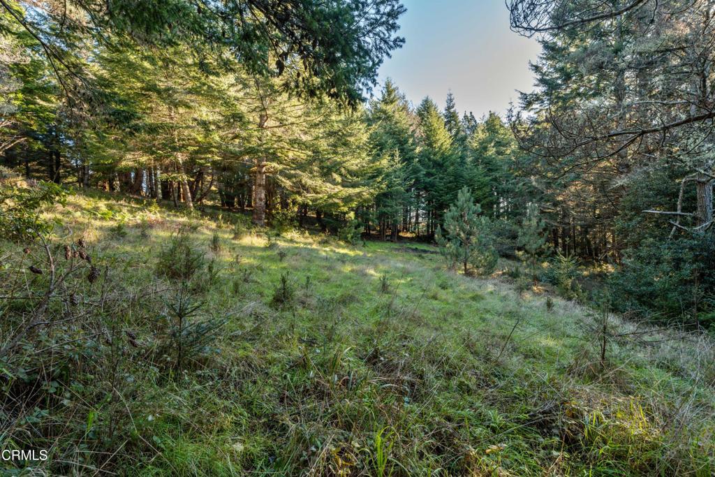 4150 California 1 Property Photo 6