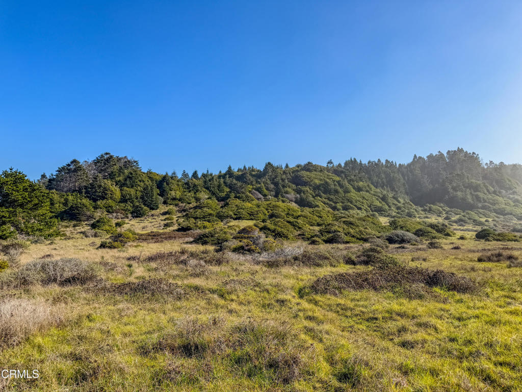 37601 N Highway 1 Property Photo 6