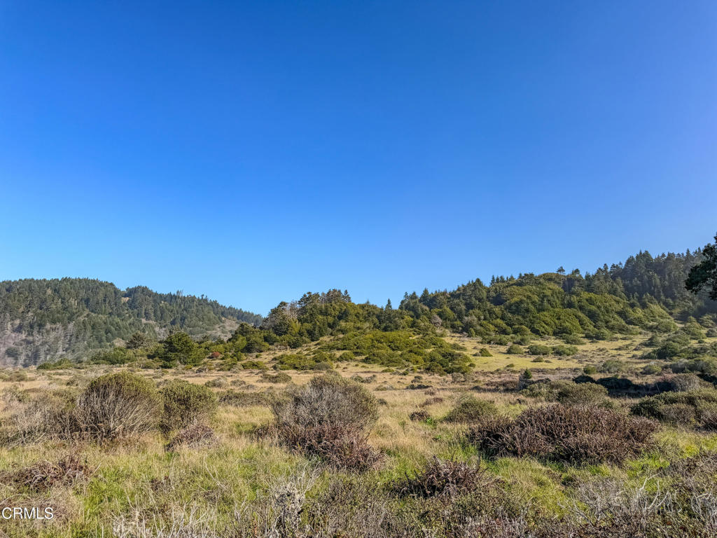 37601 N Highway 1 Property Photo 12