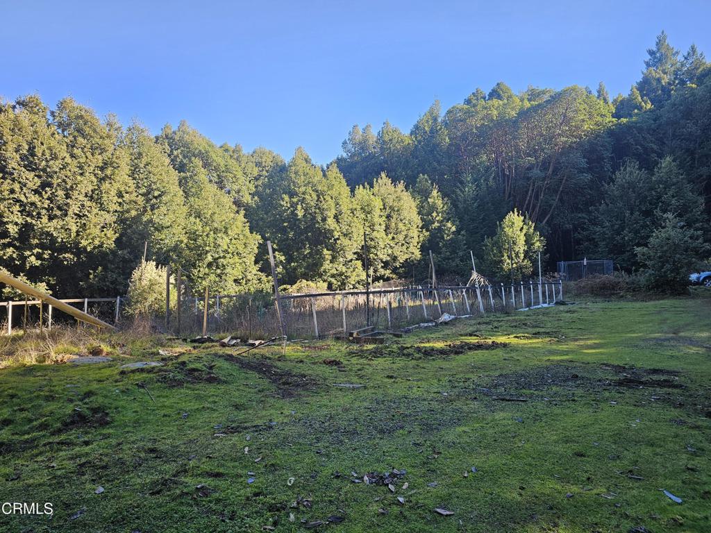 27651 Skyview Road Property Photo 4