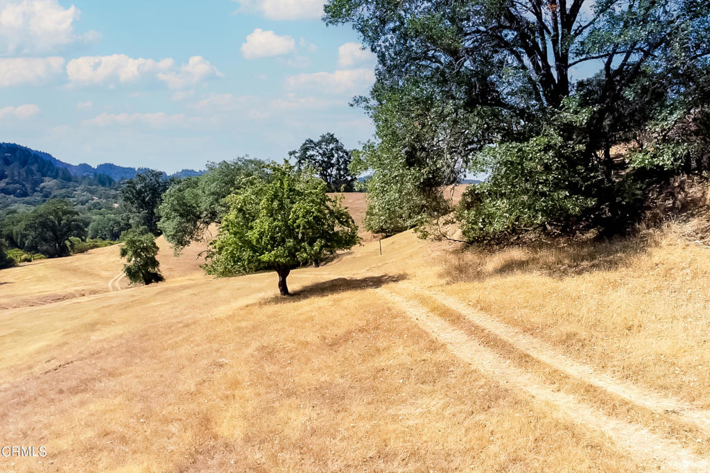 18300 Walker Road Property Photo 6
