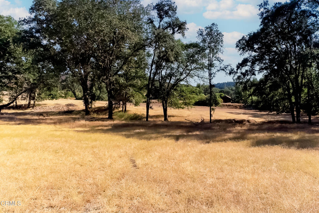 18300 Walker Road Property Photo 12