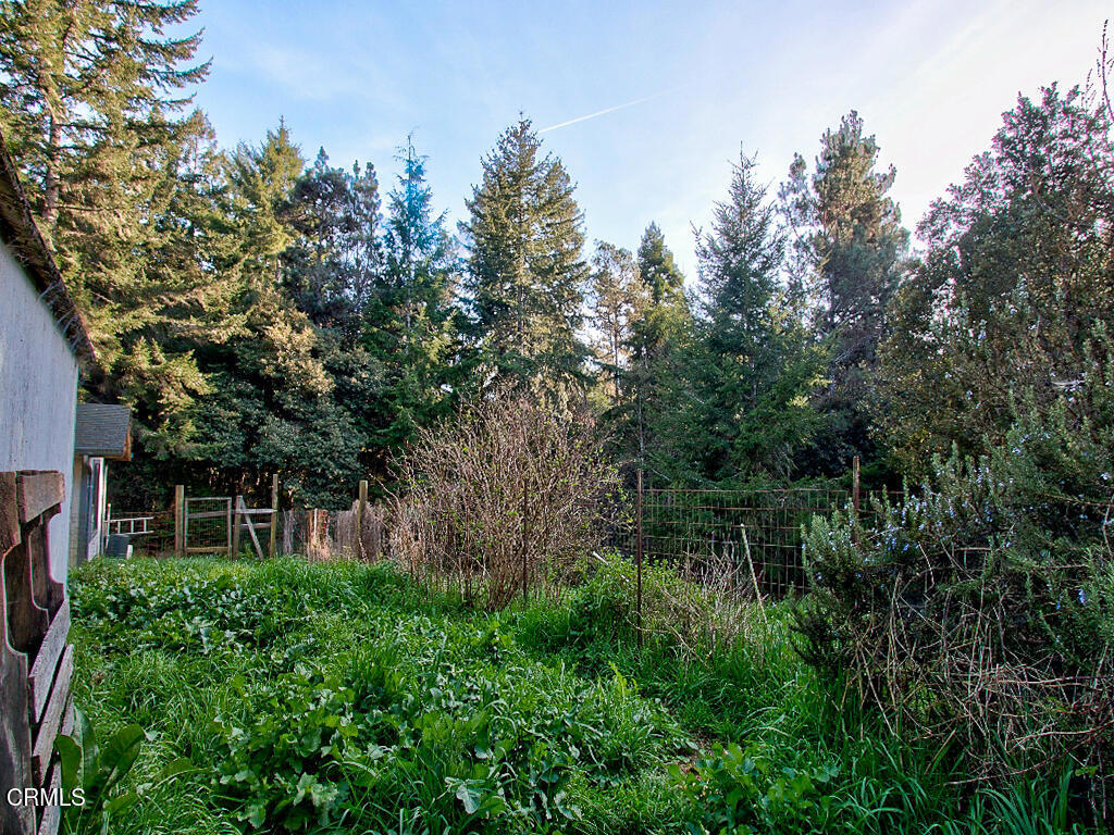 31191 Turner Road Property Photo 30