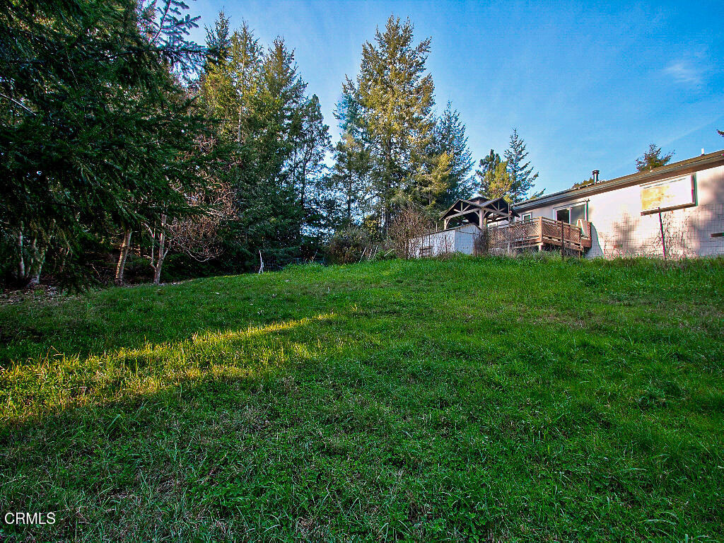 31191 Turner Road Property Photo 35