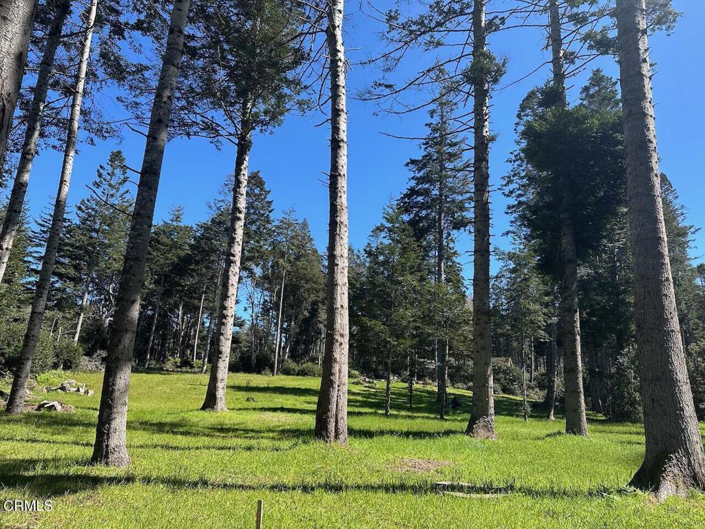 26555 Highway 1