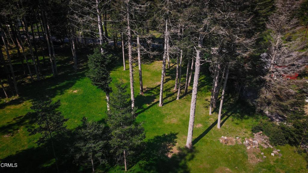 26555 Highway 1 Property Photo 2