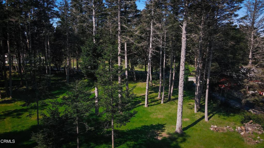26555 Highway 1 Property Photo 4