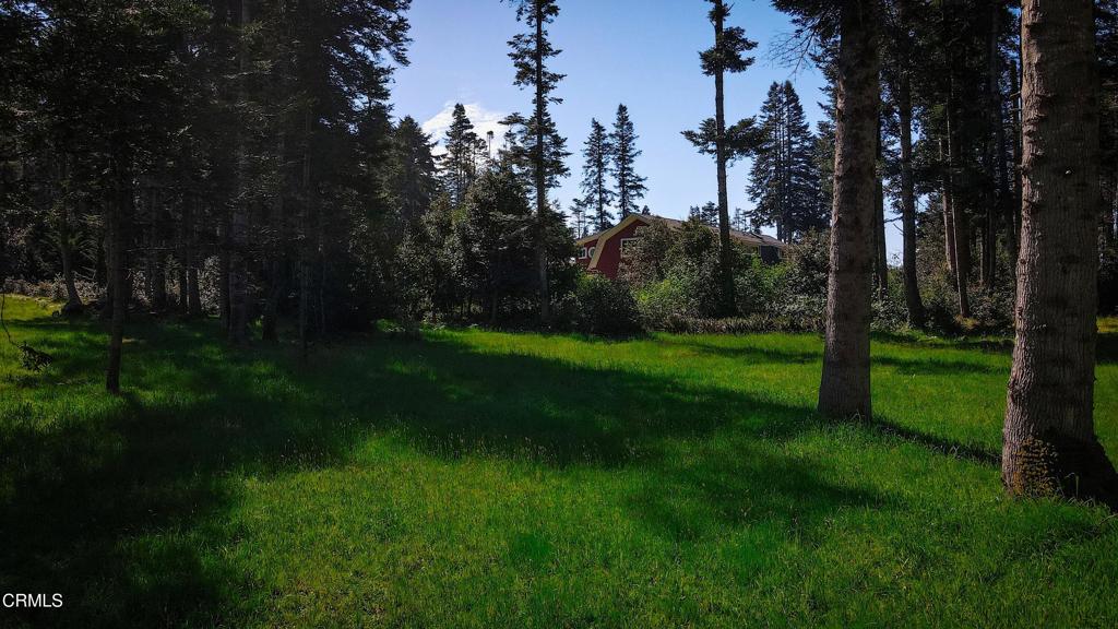 26555 Highway 1 Property Photo 5
