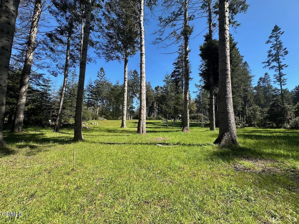 26555 Highway 1 Property Photo 6