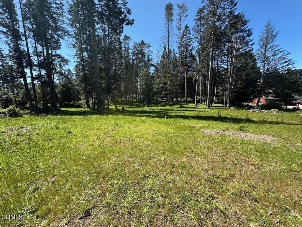 26555 Highway 1 Property Photo 7