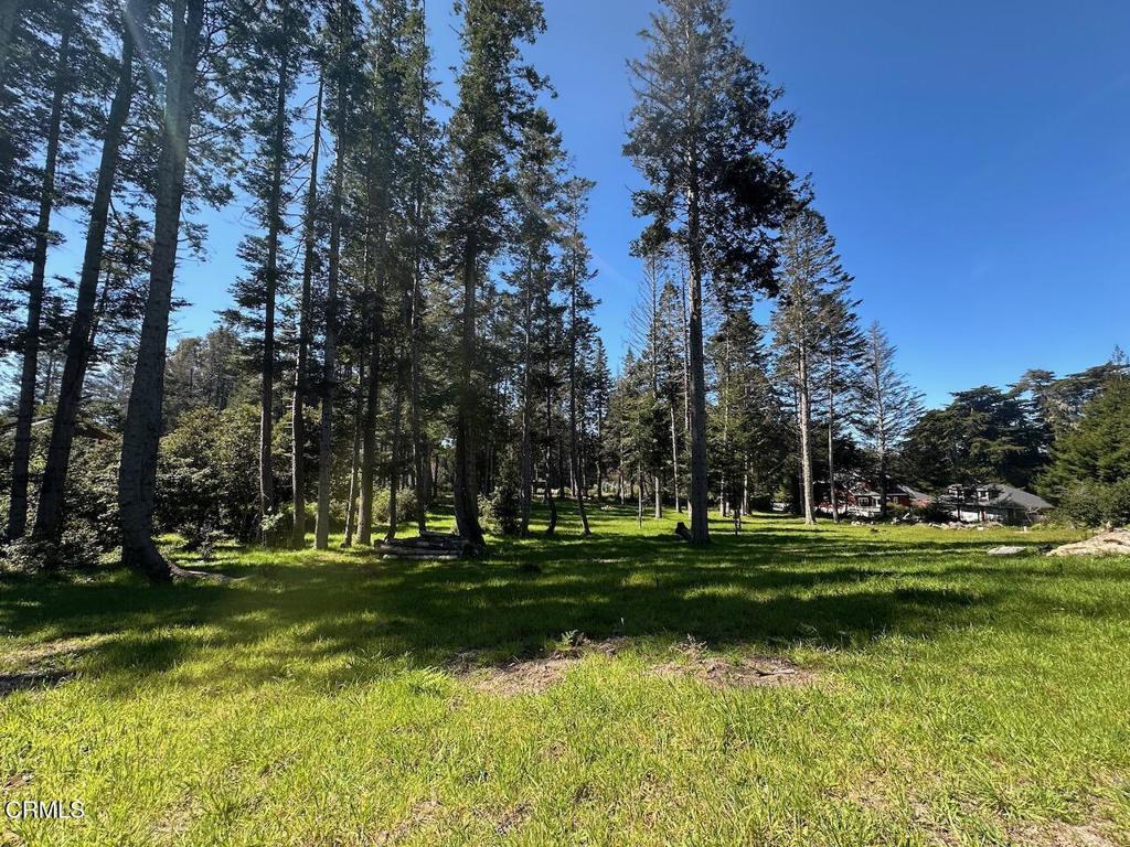 26555 Highway 1 Property Photo 8