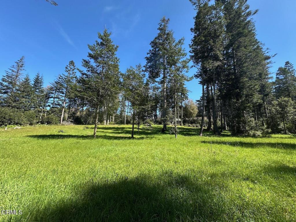 26555 Highway 1 Property Photo 9