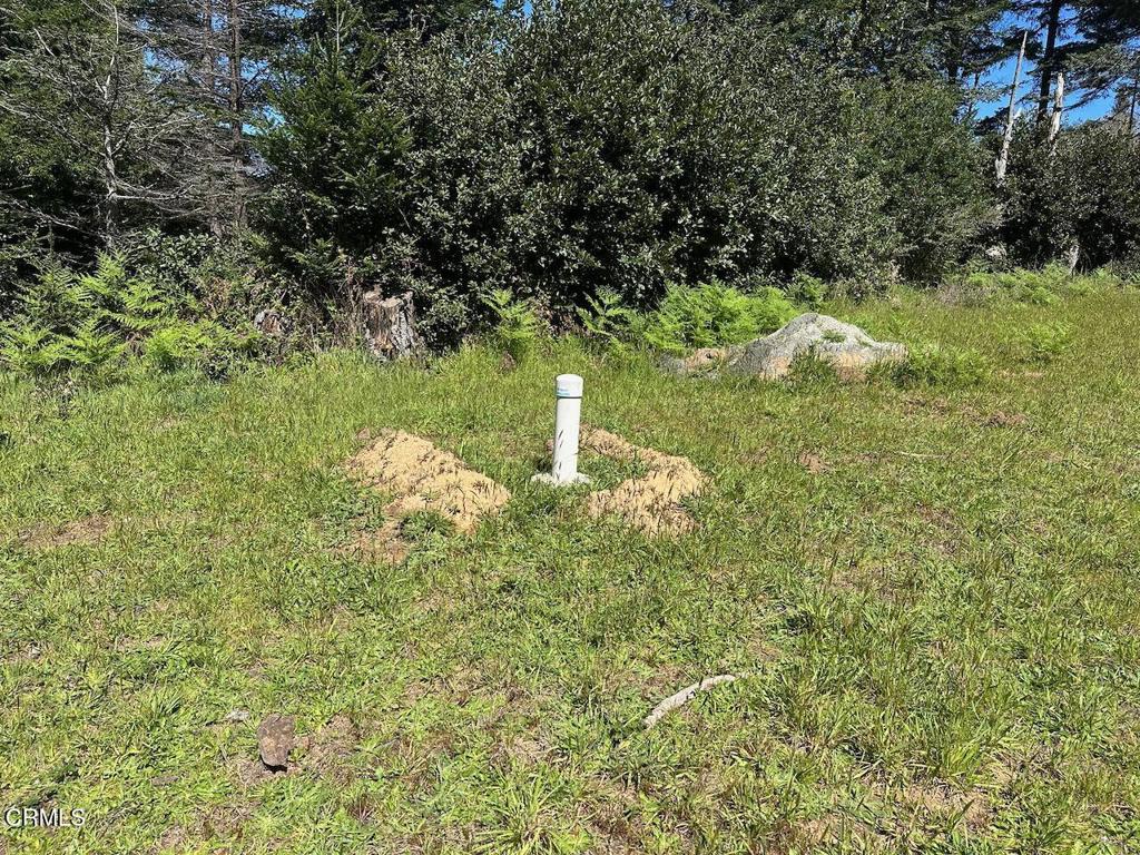 26555 Highway 1 Property Photo 10