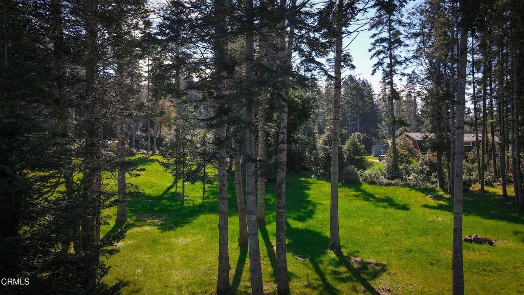 26555 Highway 1 Property Photo 11