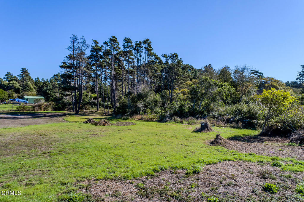 18451 Ca-1 Property Photo 8
