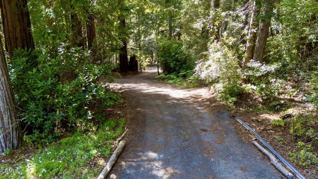 33100 Frog Pond Road Property Photo 6
