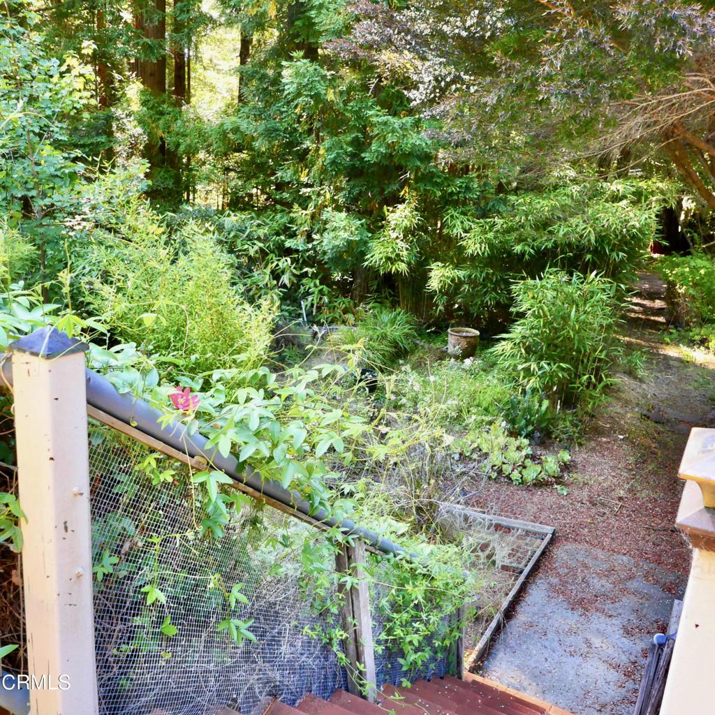 33100 Frog Pond Road Property Photo 42